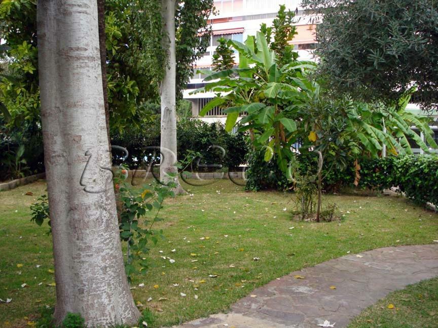 Apartamentos Cervantes Benidorm Exteriör bild