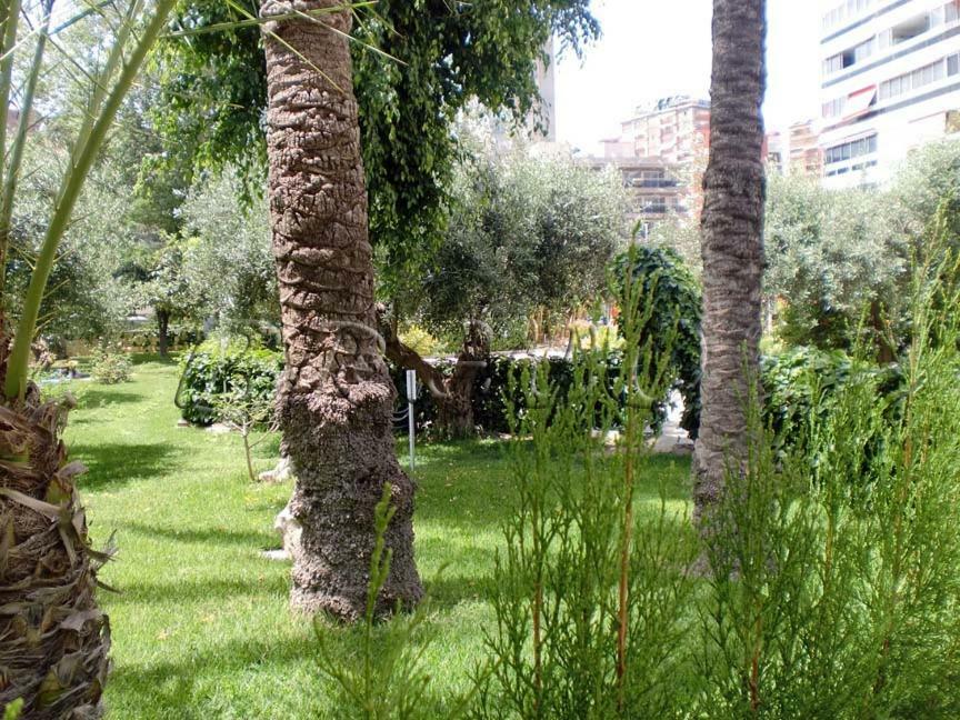 Apartamentos Cervantes Benidorm Exteriör bild